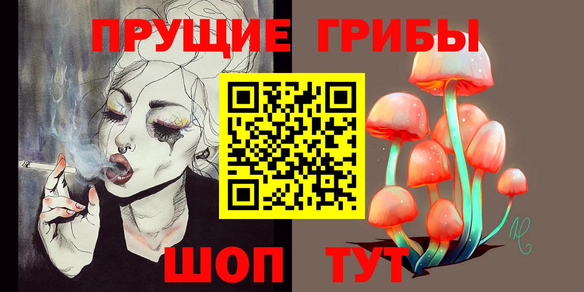 закладки  Псилоцибиновые грибы Psilocybine cubensis  Северск  Вход с VPN  Псилоцибиновые грибы мухоморы 